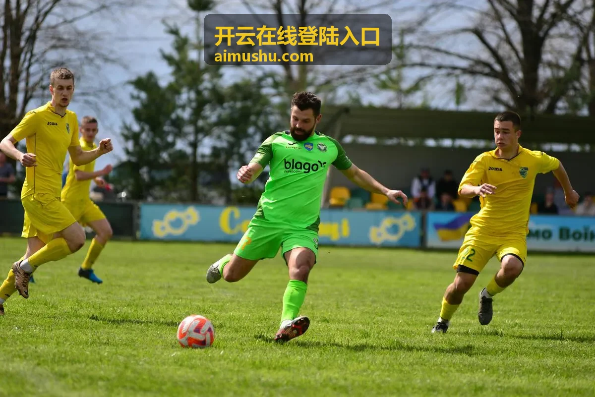 开云在线登陆入口安全访问指南